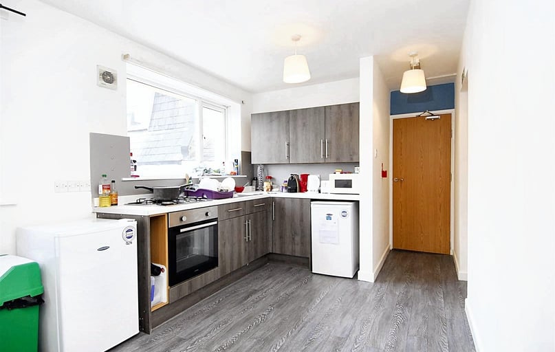 Hill Park Crescent, Flat 3, Greenbank, Plymouth - Image 1
